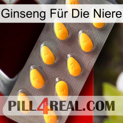 Ginseng Für Die Niere cialis1